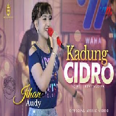 Jihan Audy - Kadung Cidro feat New Bossque