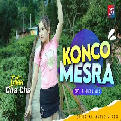 Intan Chacha - Konco Mesra
