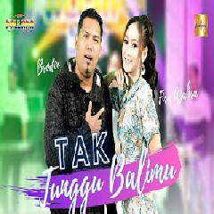 Fira Azahra - Tak Tunggu Balimu feat Brodin New Pallapa