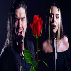 Dan Vasc - Kiss From A Rose Feat Violet Orlandi