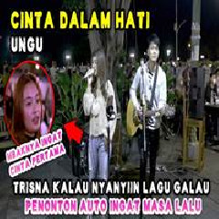 Nabila Maharani - Cinta Dalam Hati Feat Tri Suaka