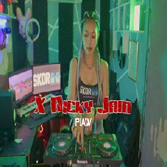 Piaw - X Nicky Jam (Remix)