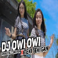 Kelud Music - Dj What You Come X Teki Gan Pargoy Santuy Bass Jedug