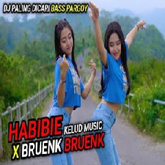 Kelud Music - Dj Full Pargoy Habibie X Breng Special Bass Beat Glerr