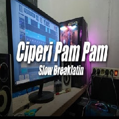 Dj Topeng - Ciperi Pam Pam Breaklatin Style