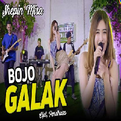 Shepin Misa - Bojo Galak