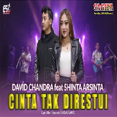 Shinta Arsinta - Cinta Tak Direstui Feat David Chandra