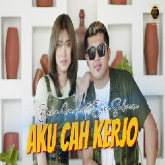 Delva Irawan - Aku Cah Kerjo Feat Dike Sabrina