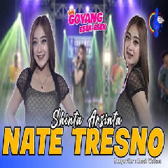 Shinta Arsinta - Nate Tresno
