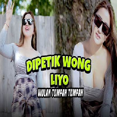 Wulan Tumpah Tumpah - Dipetik Wong Liyo